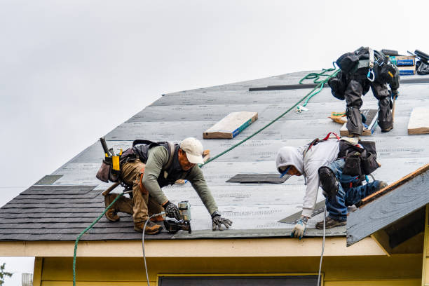 Professional Storm Damage Roof Repair technician working in Newport, VA