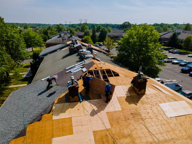 Trusted Roof Replacement service in Newport, VA - Brentwood Metal Roofing